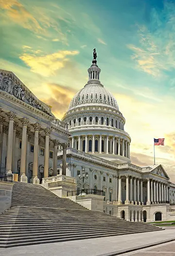 Discover the USA through authentic local experiences